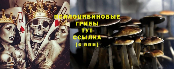 jwh Абаза