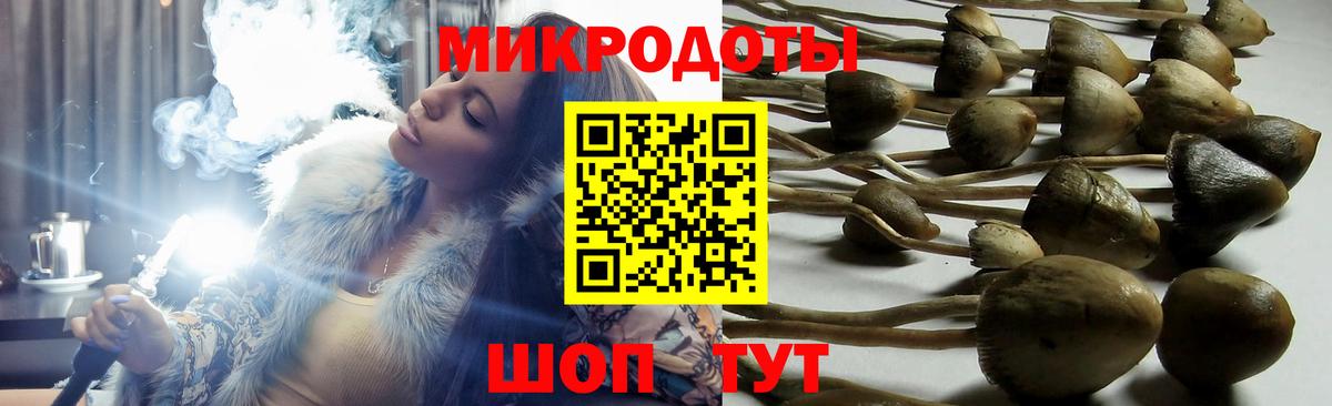 Псилоцибиновые грибы Cubensis  Вход с VPN  Омск 